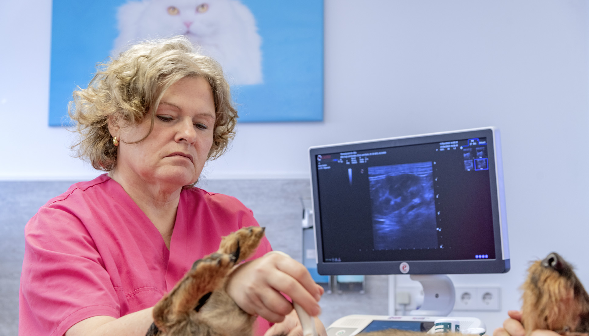 Bildgebende Diagnostik