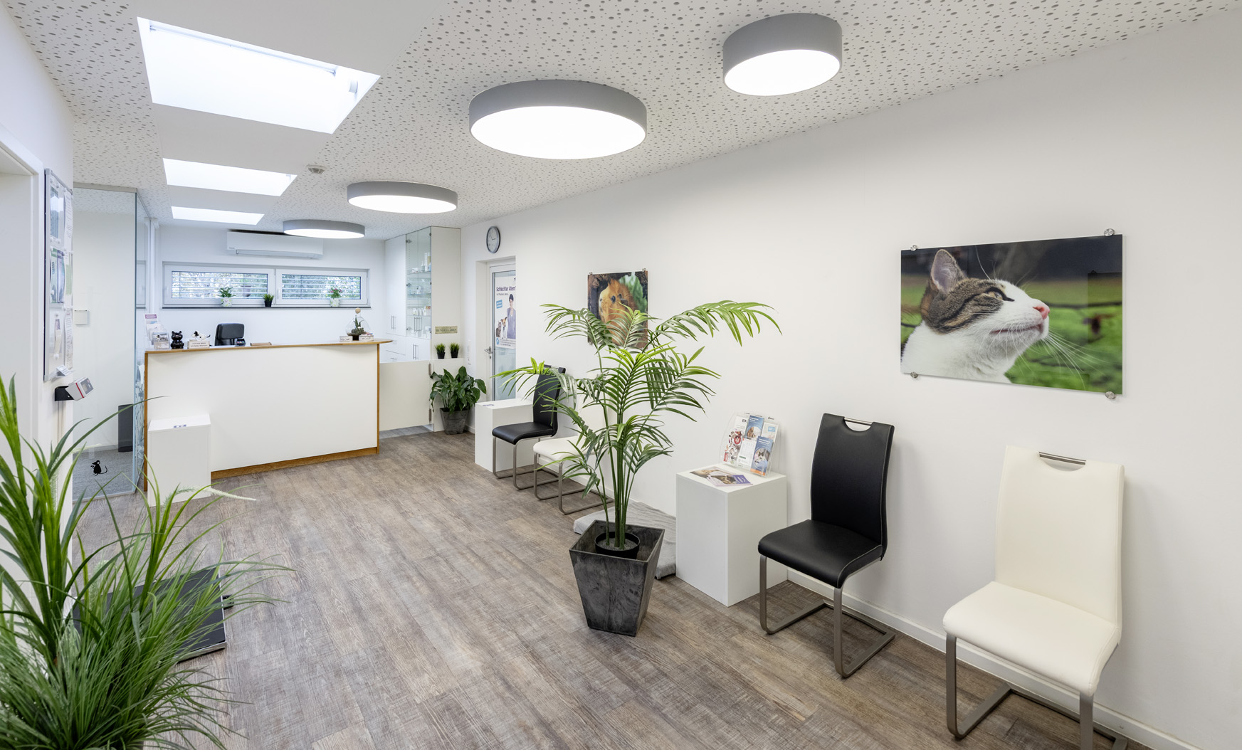 Tierarztpraxis Dr. Milz Eingangsbereich