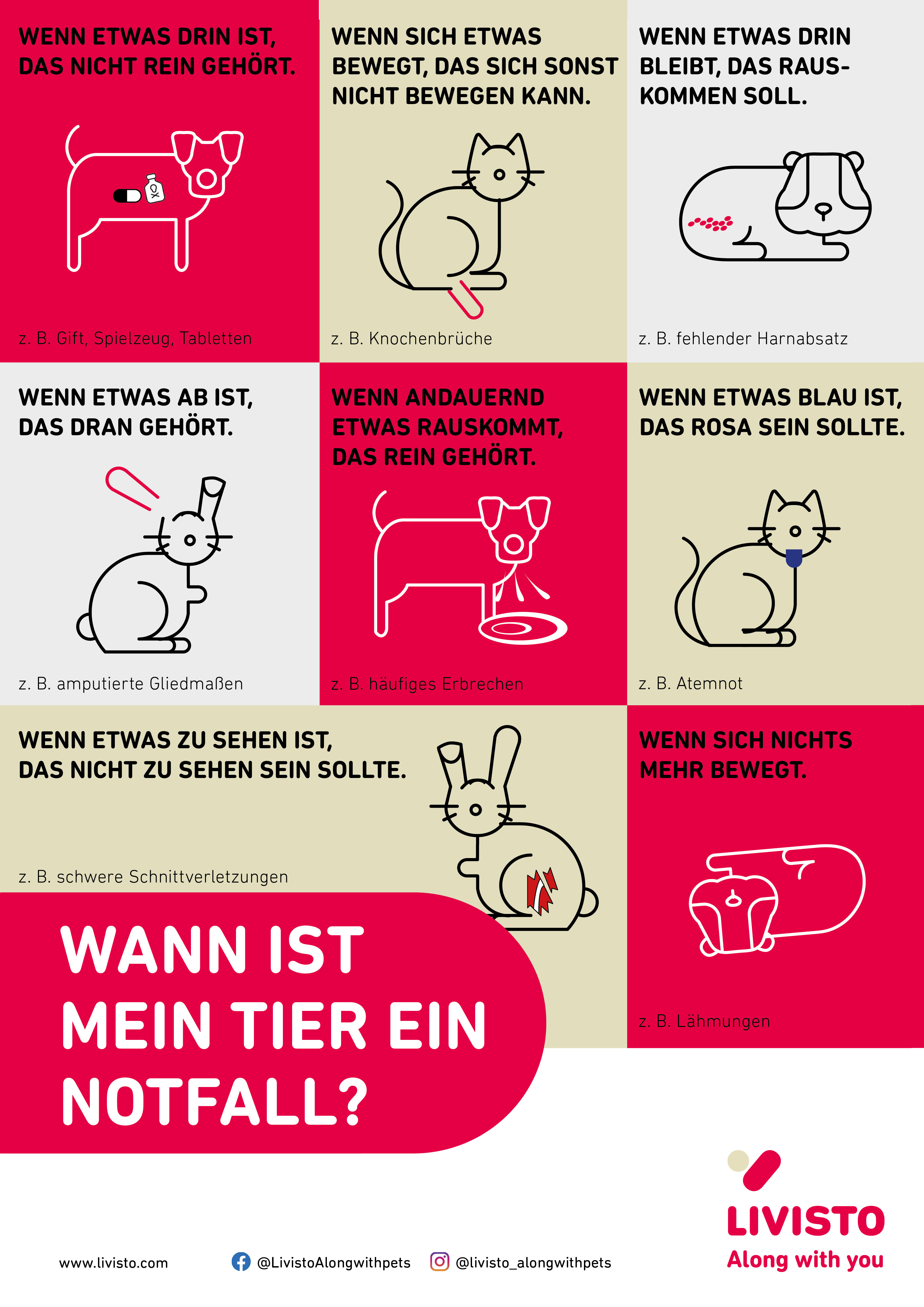 Was ist ein tiermedizinischer Notfall - Infografik